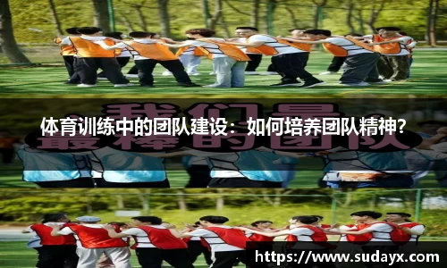 体育训练中的团队建设：如何培养团队精神？